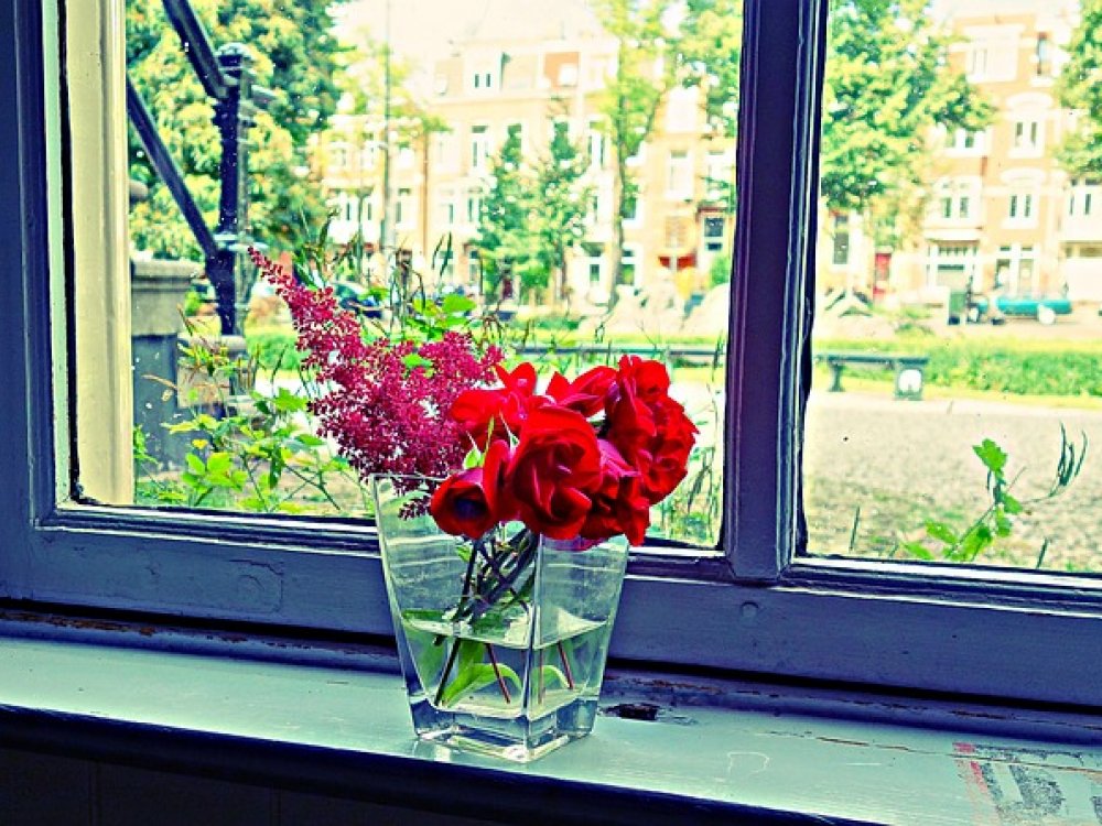 Šest základních kroků, jak naaranžovat správně kytici do vázy