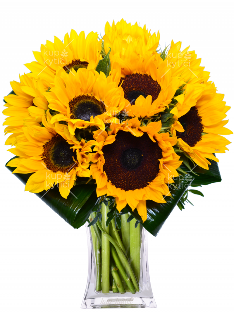 One-species bouquet of sunflowers