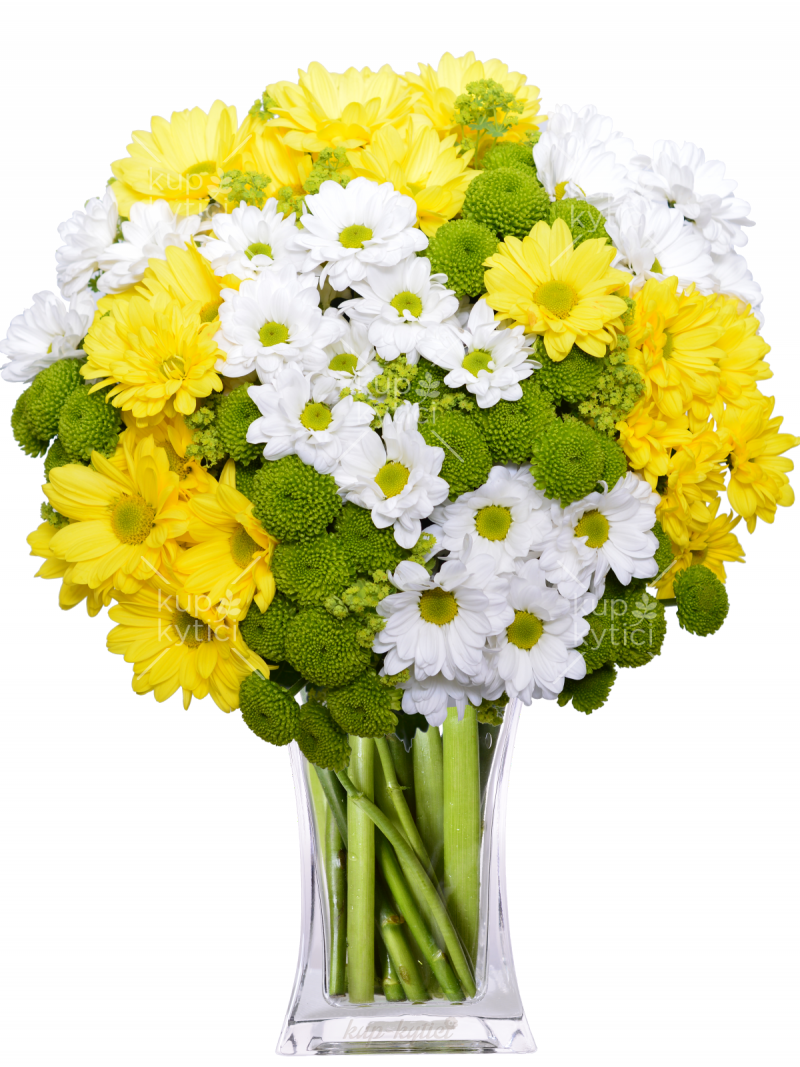 Bouquet of santines and meadow chrysanthemums